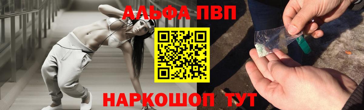 Альфа ПВП СК КРИС Магадан