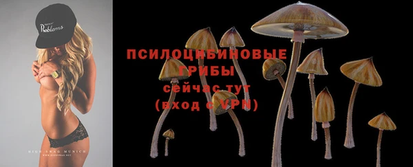 спиды Зерноград