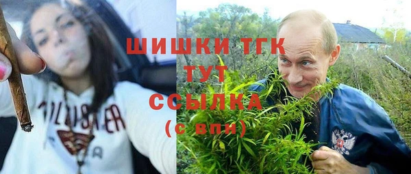 кокс Инта