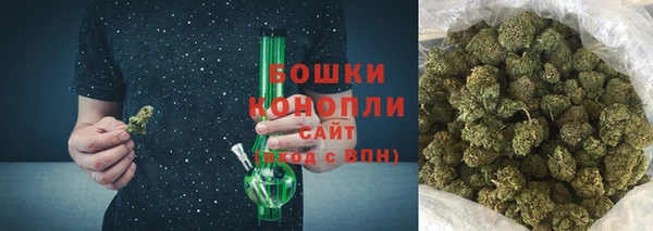 спиды Инсар